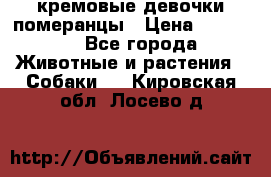 кремовые девочки померанцы › Цена ­ 30 000 - Все города Животные и растения » Собаки   . Кировская обл.,Лосево д.